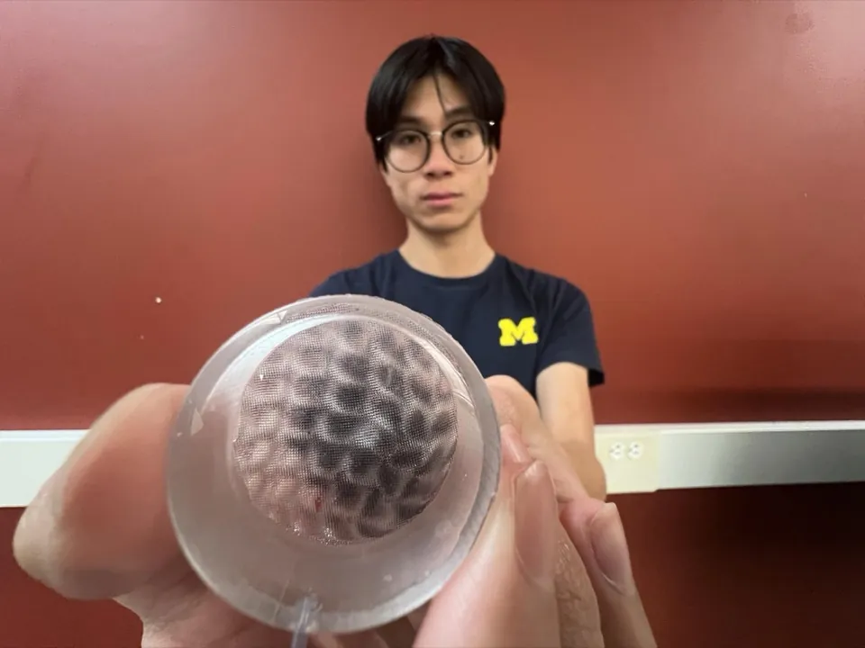 MoiréSkin held up with a blackberry visible through the transparent membrane