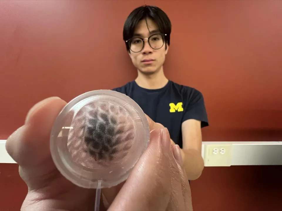 MoiréSkin held up with a blueberry visible through the transparent membrane