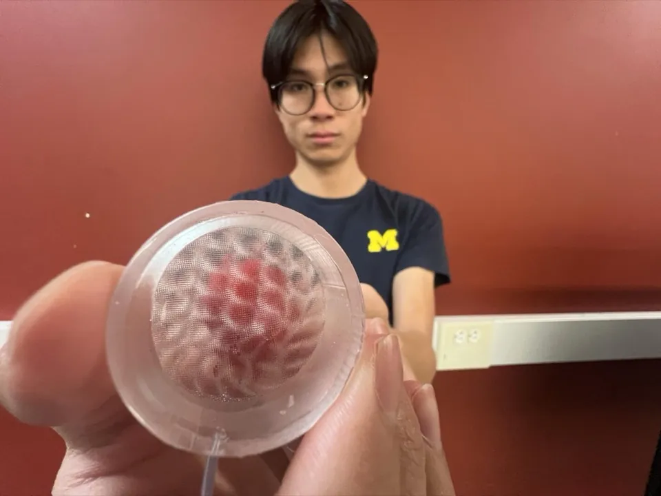MoiréSkin held up with a raspberry visible through the transparent membrane