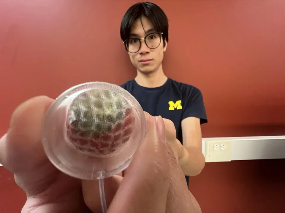 MoiréSkin held up with a strawberry visible through the transparent membrane