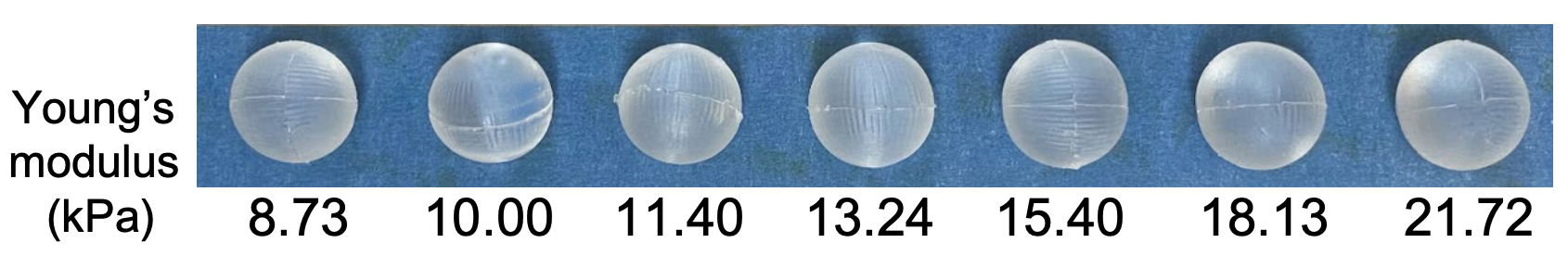 Seven soft spheres labeled from 8.73 to 21.72 kilopascals Young's modulus