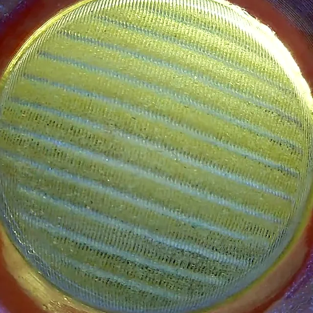 Glowing fluorescent fringes seen by the internal camera
